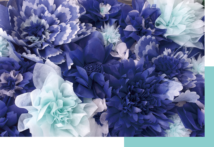 ジャイアントペーパーフラワー